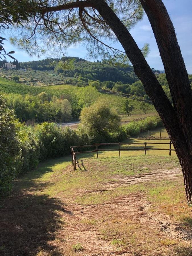 La Gufaia - Holiday House With Private Pool Near Florence Carmignano Kültér fotó